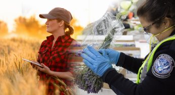 10 Highest Paying Jobs In Agriculture