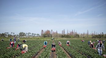 US farmers will suffer from the suspension of visa issuance due to coronavirus.