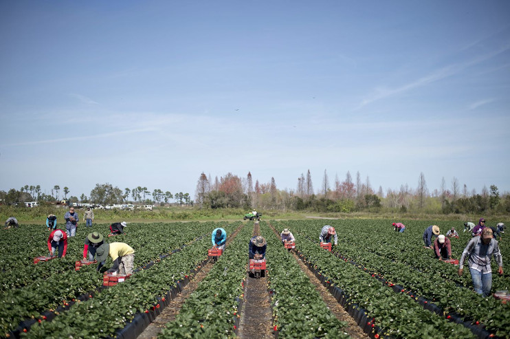 US farmers will suffer from the suspension of visa issuance due to coronavirus.