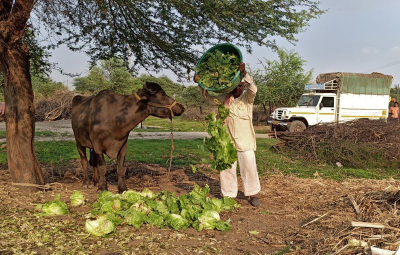 Global farmers loom at heavy losses amid largest Coronavirus lockdown