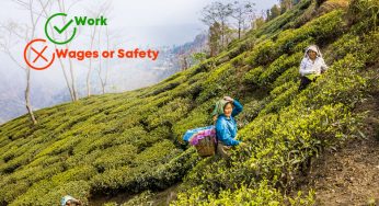 Plight of Tea Plantation Workers Hits a New Low With Pandemic Lockdown