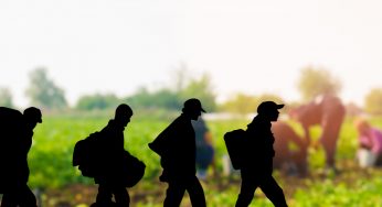 Italy to regularize thousands of migrant workers