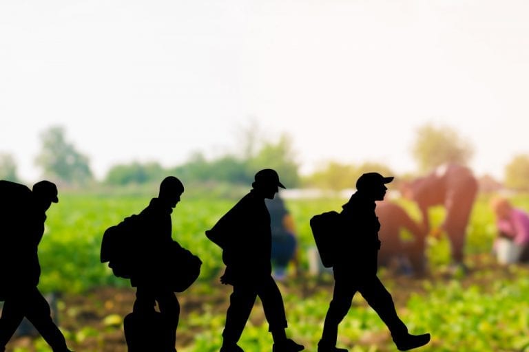 Italy to regularize thousands of migrant workers The Workers Rights