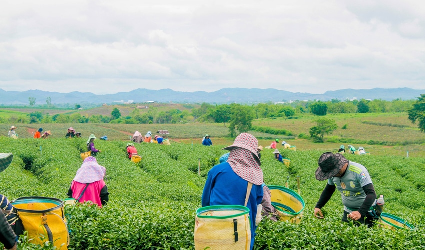 Coronavirus outbreak in Michigan linked to migrant workers in farms