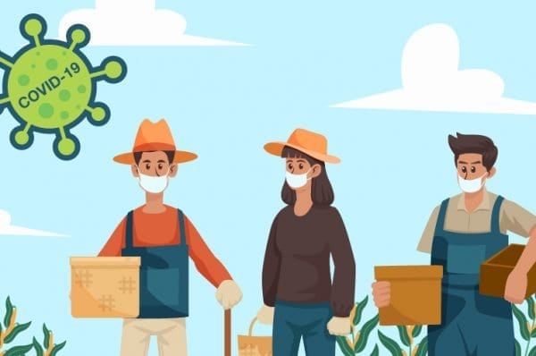 Farm Workers were diagnosed with Covid19