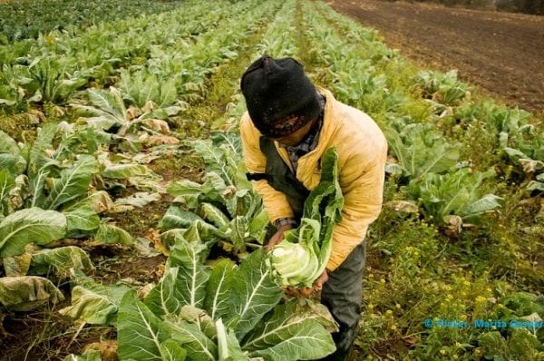 Discrimination Of Migrant Workers