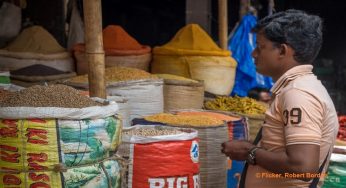 Constant Gaps Delay Grain Distribution To Indian Migrant Population