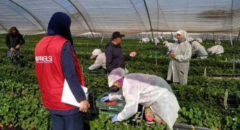 Thousands of seasonal migrants from Moroccan stuck in Spain