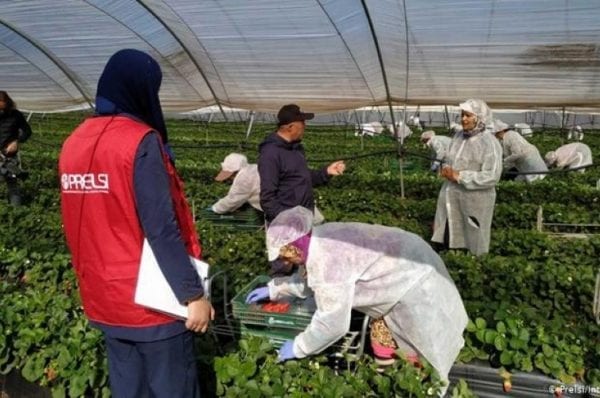 seasonal migrants from Moroccan