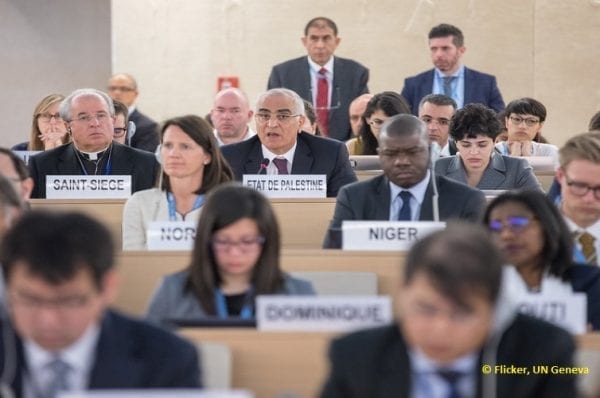 The UN Human Rights Office (OHCHR) and the International Organization for Migration (IOM)