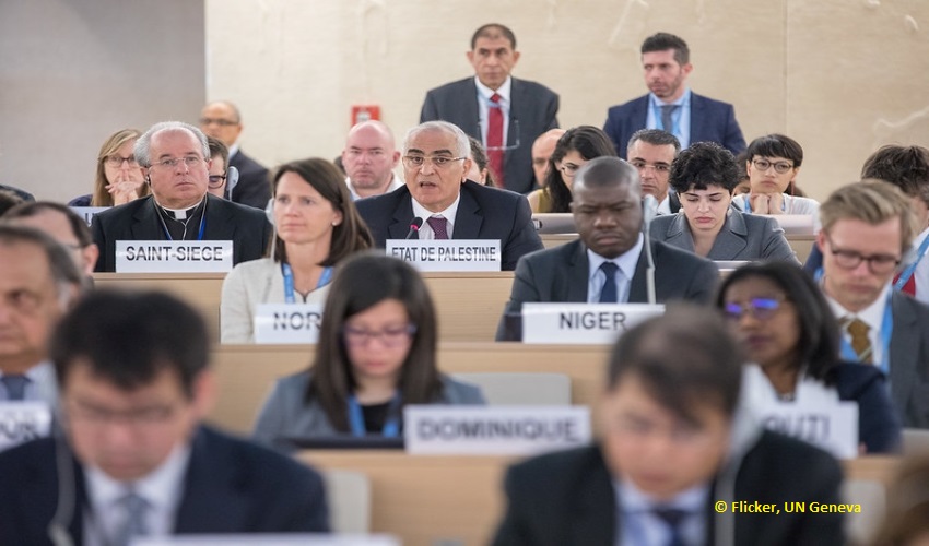 The UN Human Rights Office (OHCHR) and the International Organization for Migration (IOM)