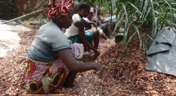 Decade Long Lawsuit Against Cocoa Child Labour To Be Dismissed In America