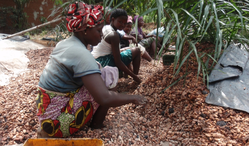 Decade Long Lawsuit Against Cocoa Child Labour To Be Dismissed In America