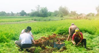 Pandemic exposed Poland’s dependency on Ukrainian Migrant Labour