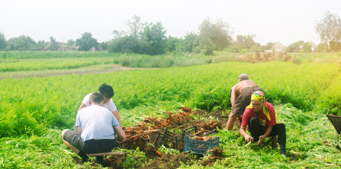 Ukrainian Migrant workers in Poland