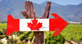 Ontario farmer plea to the Fed government to help improve migrant agri-workers situation amid a pandemic