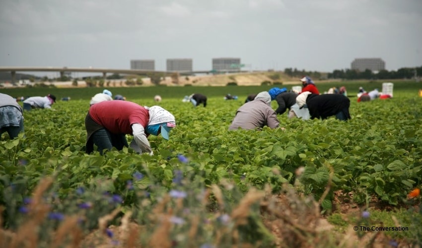 Migrant workers, Canada, pandemic