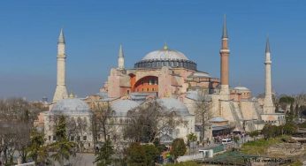 In Turkey the Green Party is reborn to protect nature and human rights