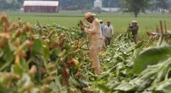 Wages of farm labourers frozen by Trump administration, not-so known rule will bring years of suffering for migrant workers in US