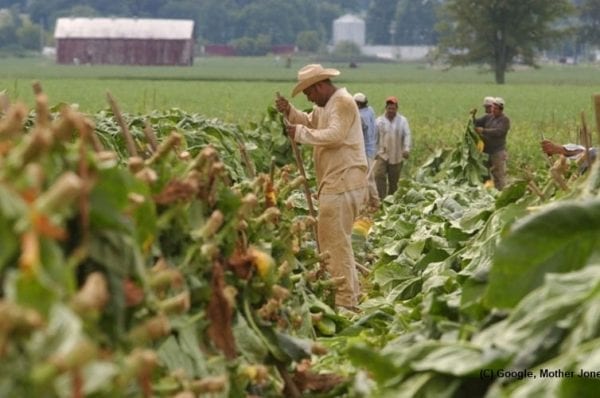 Wages-of-farm-labourers-frozen-by-Trump