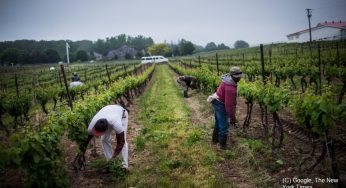 Aberrant situation of migrant workers in Canada