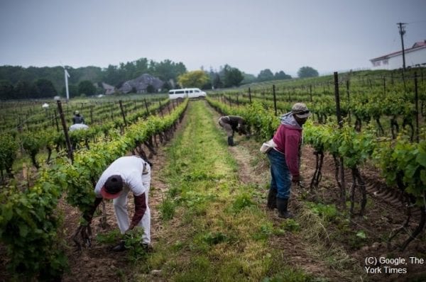 Aberrant-situation-of-migrant-workers-in-Canada