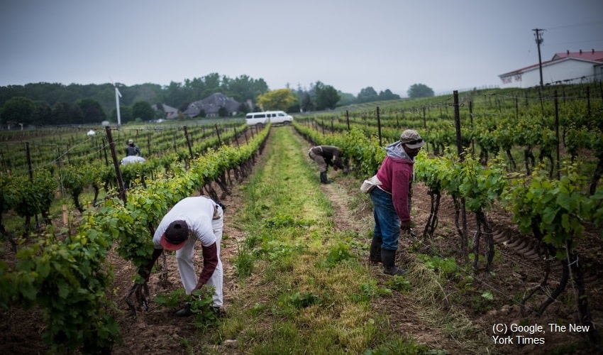 Aberrant situation of migrant workers in Canada