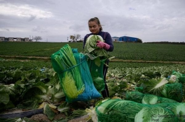 Thai-migrants-living-in-poor-conditions-in-S-Korea:-Report