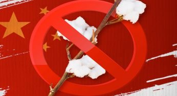 Human rights violations against Uyghur: US bans cotton imports from China