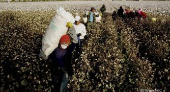 How China Uses Minority Groups As Forced Cotton Labour