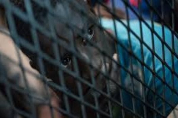 Detained-migrants-in-Saudi-Arabia-allege-torture-and-other-abuse