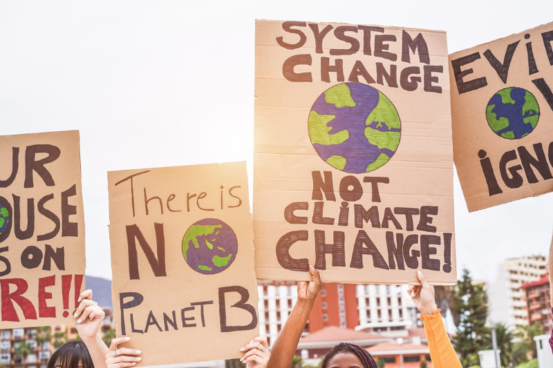 Almost 4 out of every 10 journalists reporting on the climate crisis and environment problems have been threatened because of their work.