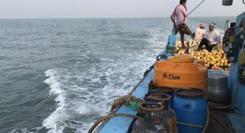 Injured Fisherman Demands Wi-Fi for Crews at Sea
