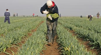 British Columbia: Agricultural Migrant Workers are Facing Displacement Due to Floods