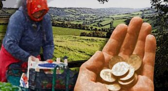 Britain Criticized Over Migrant Workers Ill-treatment In Agriculture Farms