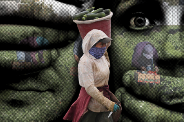 agriculture workers face sexual assault in thailand