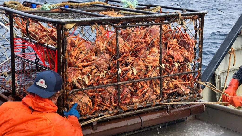 alaskan crab fisherman 1