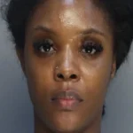 american airlines flight attendant accused