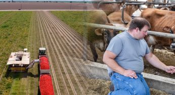 American farmers are killing their own crops and selling cows because of extreme drought