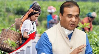 Assam government hikes minimum wages for tea plantation workers