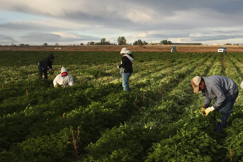 Immigrant Labor Fuels Italy’s Food Industry, Report Finds