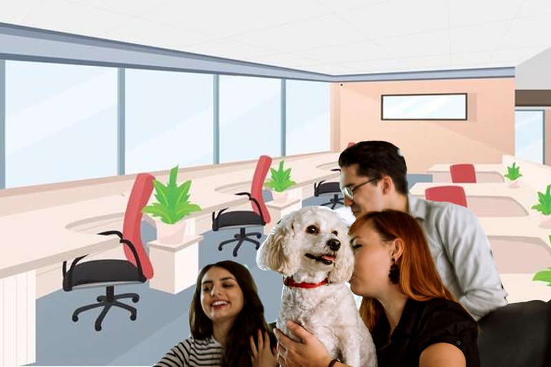 Benefits of Pet-Friendly Workplaces on Employee Wellbeing