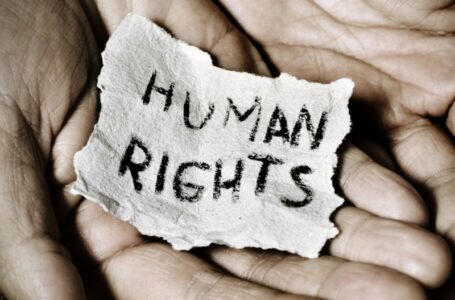 7 Best Tips To Build A Successful Career In Human Rights