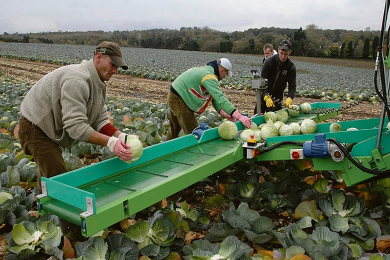 British Farms Willing To Pay Huge For Migrant Workforce To Return