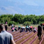 bulgaria migrant workers