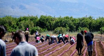 Bulgaria Opens Doors to 70,000 Migrants Workers to Tackle Labour Shortage