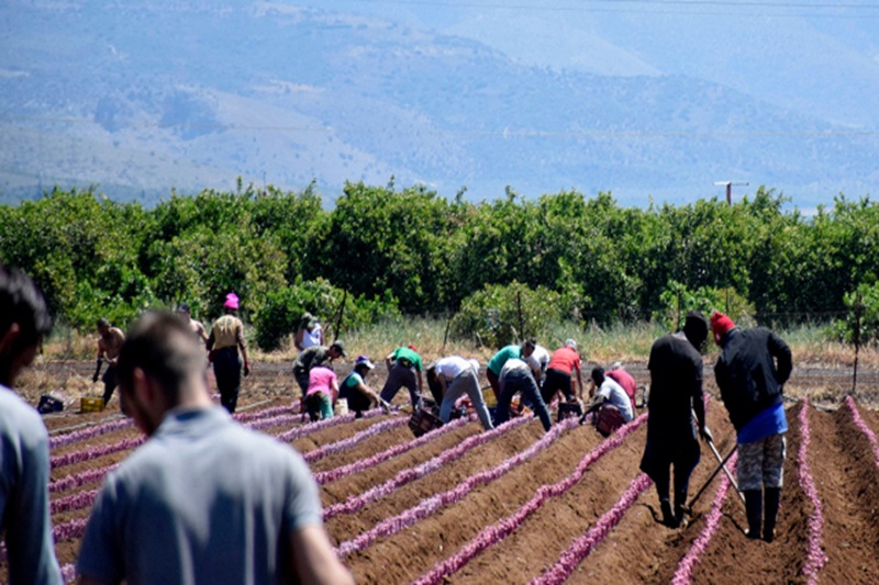 Bulgaria Opens Doors to 70,000 Migrants Workers to Tackle Labour Shortage