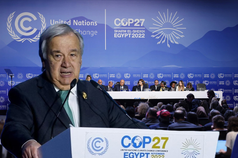 COP27: UN climate talks kick off in Egypt amid major world crises