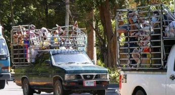 Migrant workers continue crossing Cambodian-Thai borders despite tougher security measures