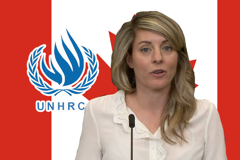 canada seeks seat on un human rights council